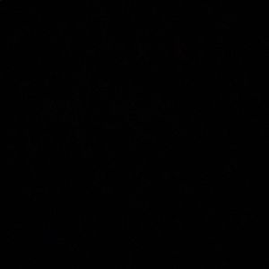 Meet your Posher, Laila